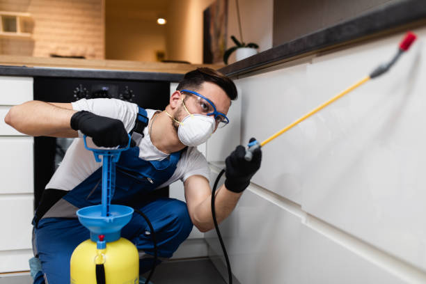 Best Ant Control Services  in Dadeville, AL