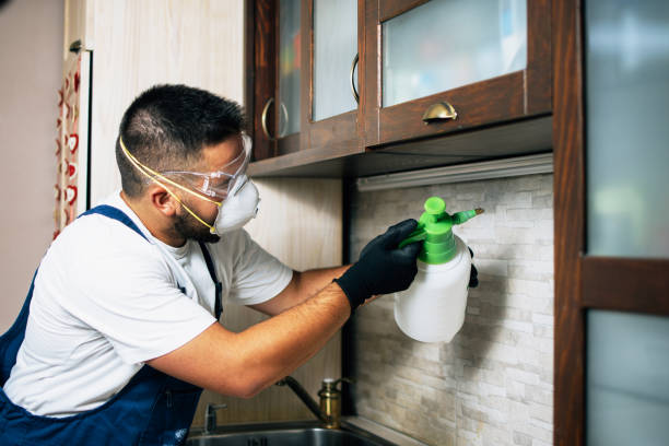 Best Pest Removal Services  in Dadeville, AL