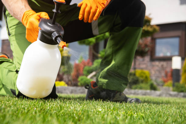 Best Ant Control Services  in Dadeville, AL