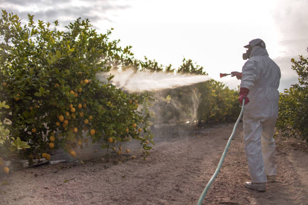 Best Residential Pest Control  in Dadeville, AL