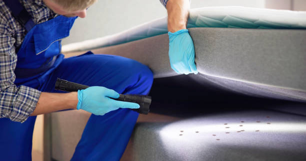 Best Affordable Pest Control Services  in Dadeville, AL