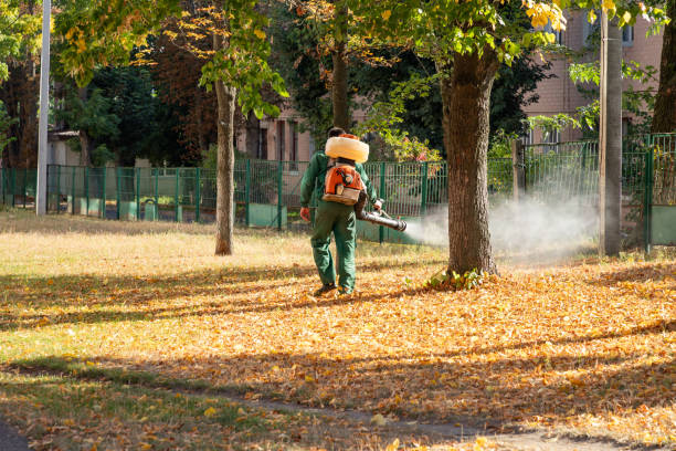 Best Cockroach Control Services  in Dadeville, AL