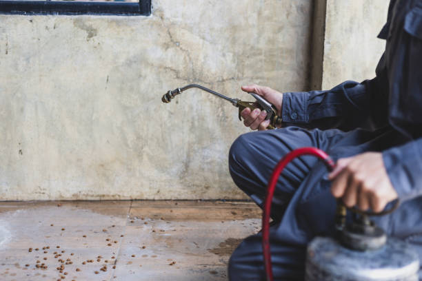 Best Pest Control for Businesses  in Dadeville, AL