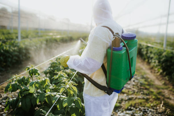 Trusted Dadeville, AL Pest Control Experts